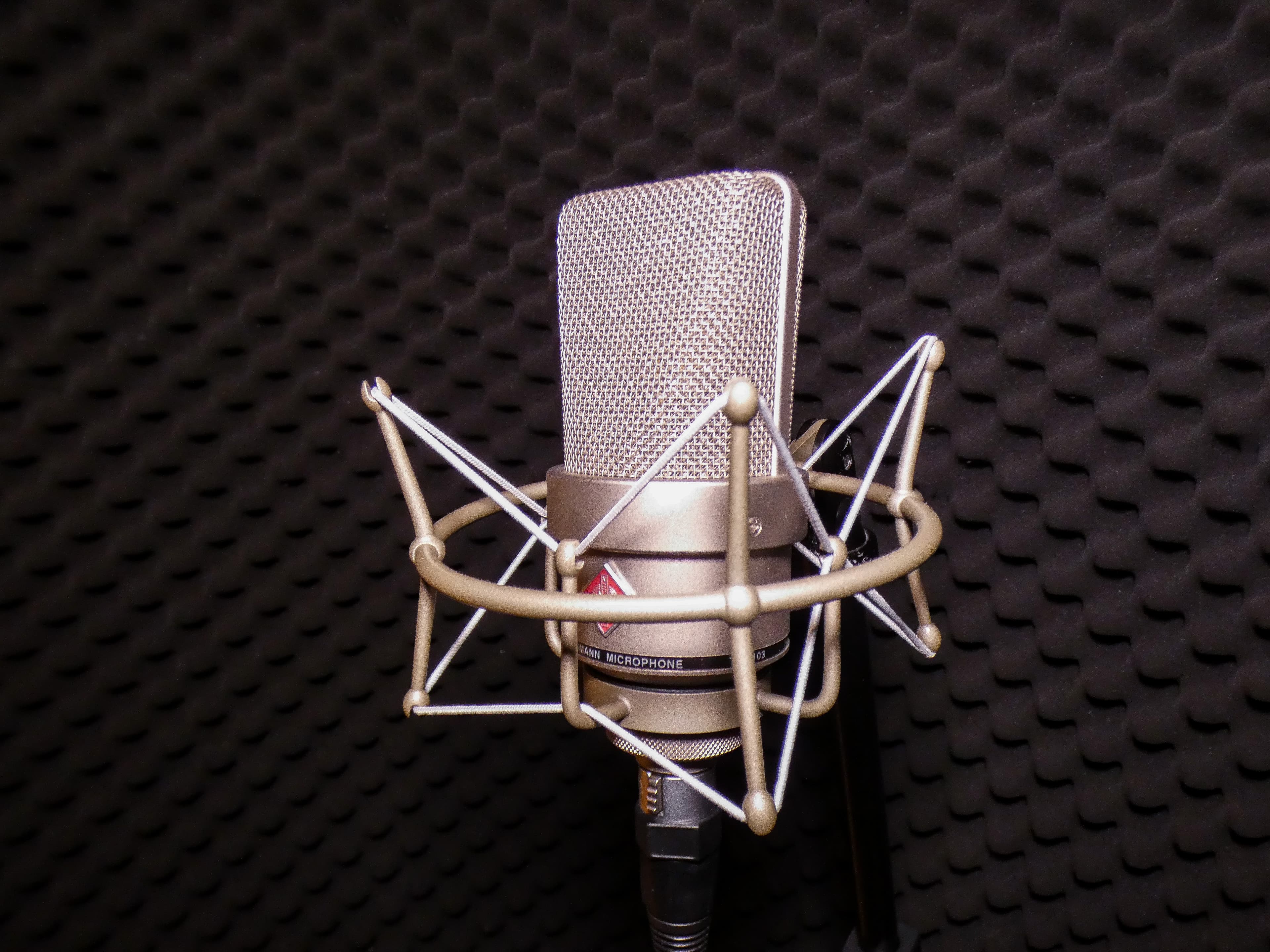 Mikrofon